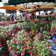 marche-aux-fleurs-2025-duras--1-.jpg