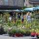 marche-aux-fleurs-2025-duras--2-.jpg