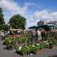marche-aux-fleurs-2025-duras--6-.jpg