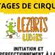 lezart-ludicks.jpg-haut.jpg
