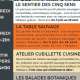 programme-ete-vivent-les-herbes-sauvages.jpg
