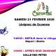 carnaval-levignac.jpg-haut.jpg