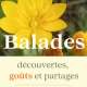 balades-vivent-les-herbes-sauvages.jpg