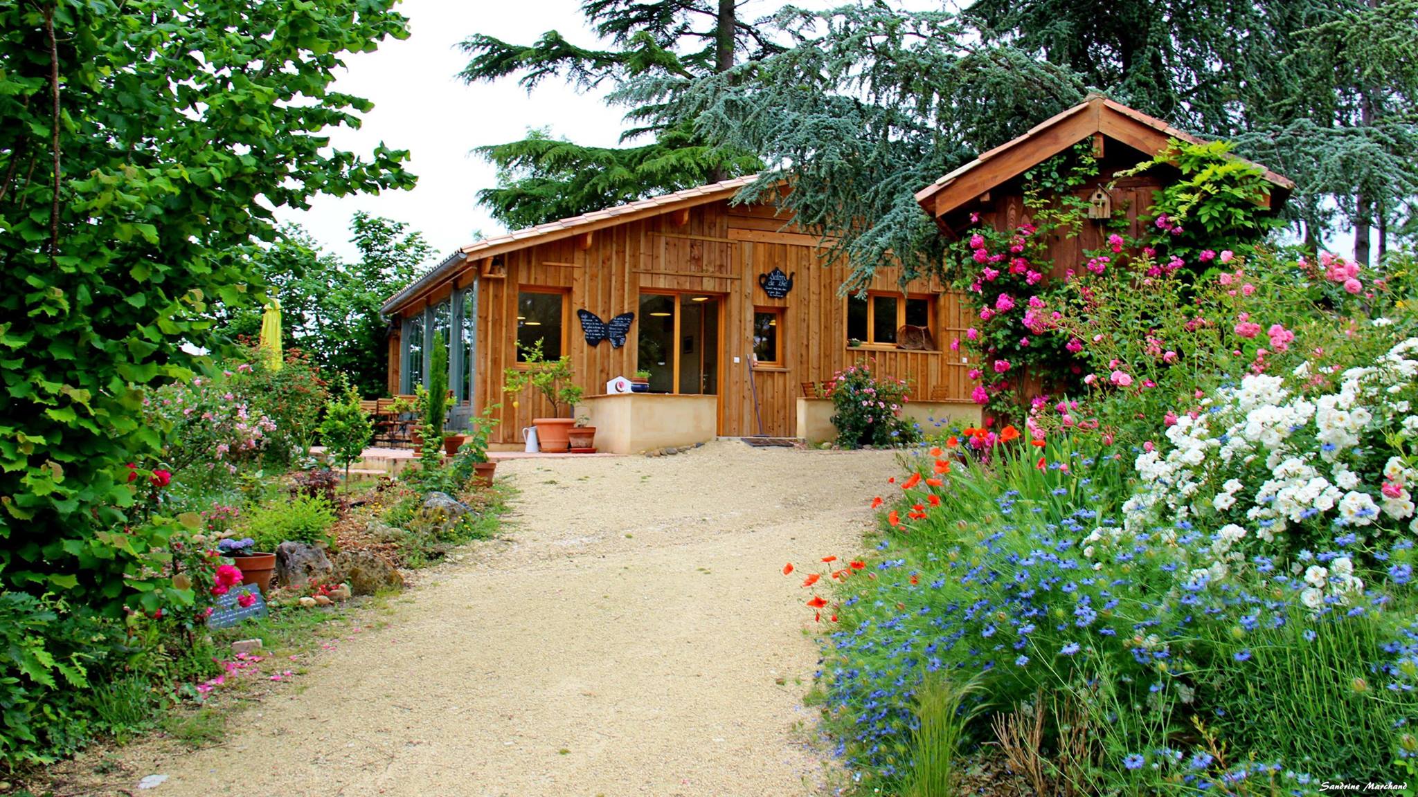 Visite au jardin de Boissonna à Baleyssagues près de Duras