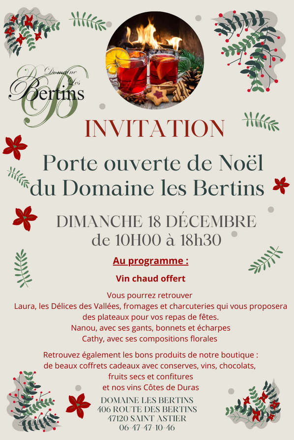 Marché Noël Bertins