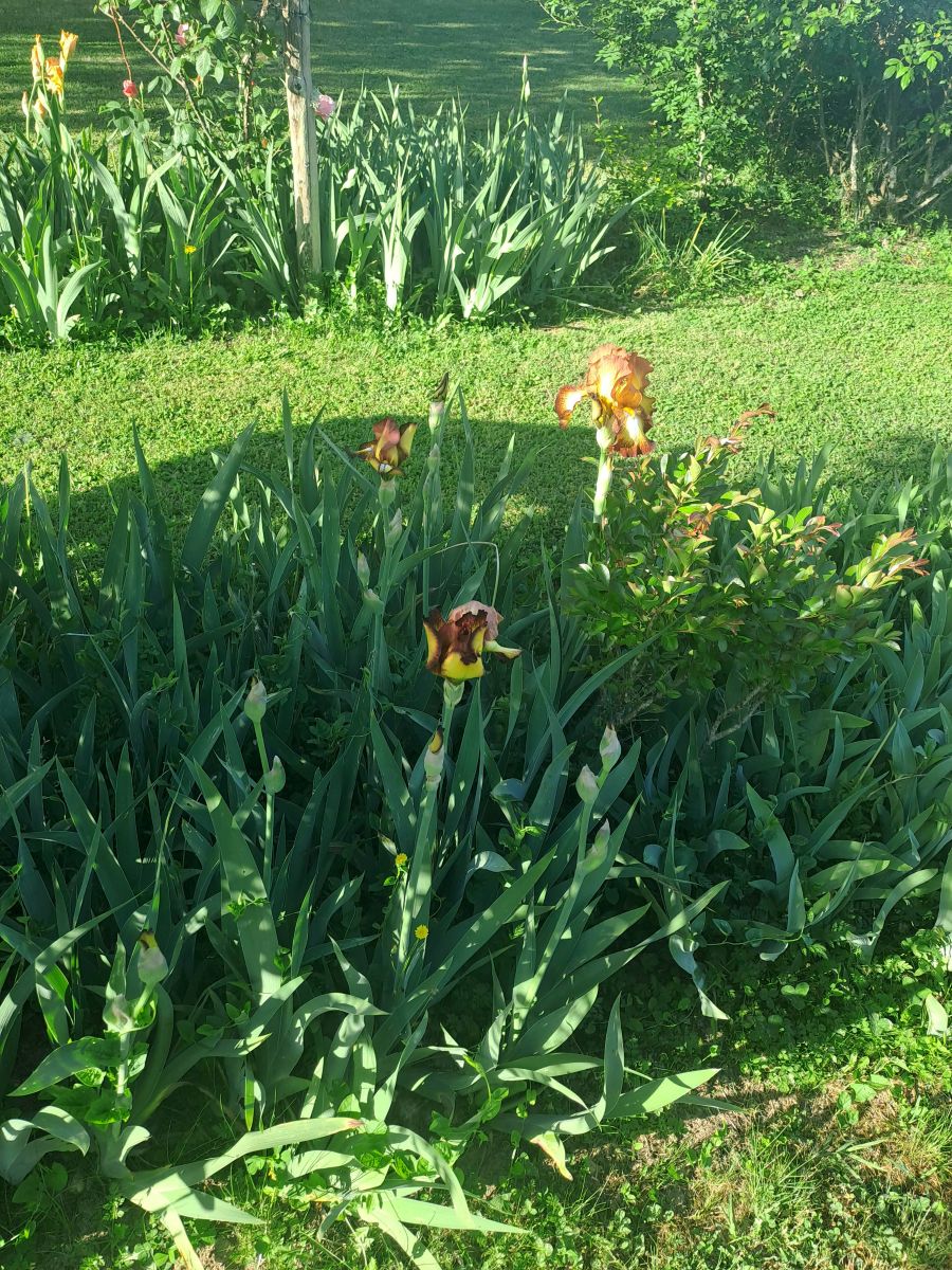 20260424_091133.jpg