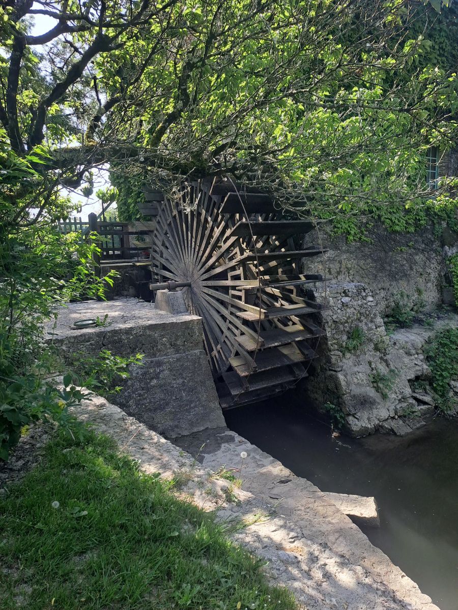 20260424_105005.jpg