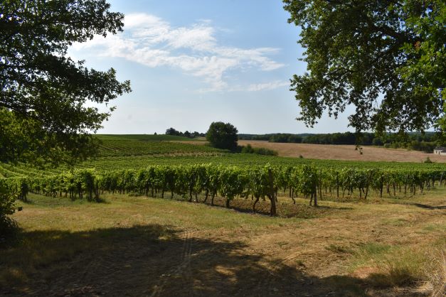 Domaine Amblard 5