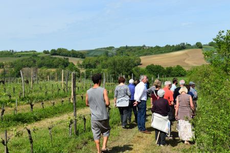 Haut-de-riquets-eductour_4.jpg