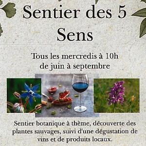 Le sentier des 5 sens au Domaine Les Hauts de Riquets Tous les mercredis de juin à septembre à 10h