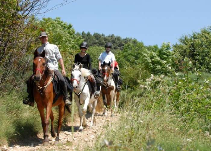 image de Rallye équestre