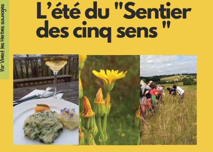 image de Le sentier des 5 sens au Domaine Les Hauts de Riquets