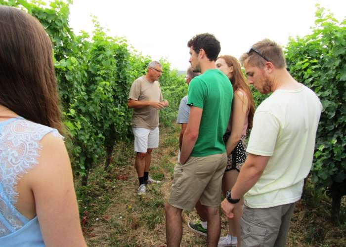 image de Berticot wine tour