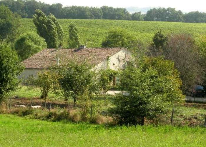 image de Les 3 Vignobles et sa recette Simplicité, Convivialité et Tranquillité