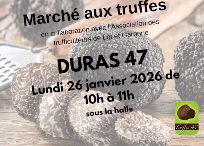 image de Marché aux truffes