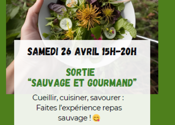 image de Sortie sauvage et gourmande !