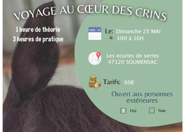 image de Voyage au coeur des crins Stage massage équin aux écuries de Serres