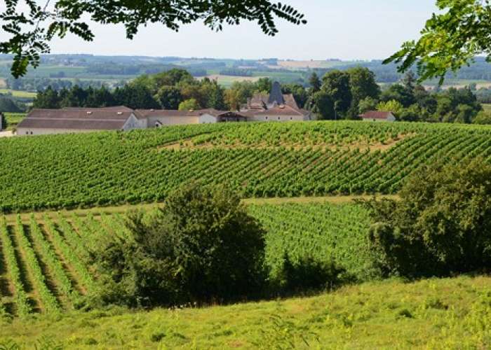 image de Circuit vignes et vergers en Duraquois