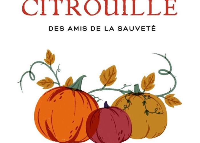 image de Repas Citrouille