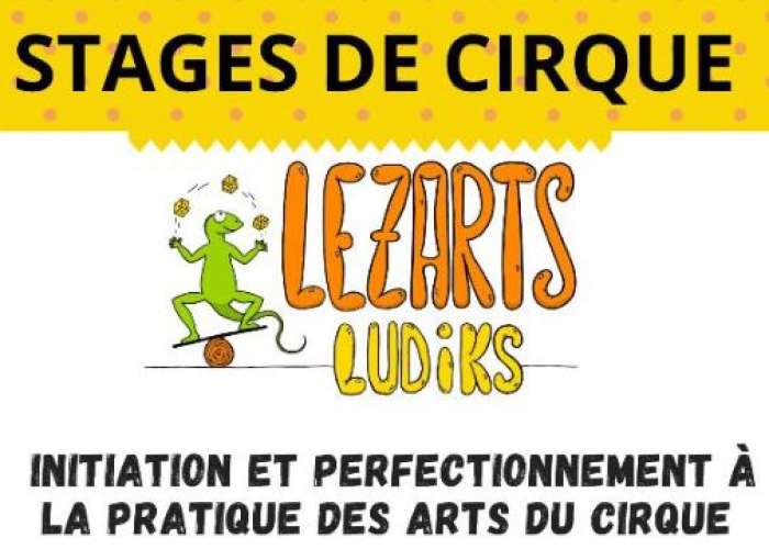 image de Stage des arts du cirque avec Lezarts Ludiks