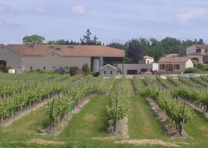 image de Visites, dégustations, pique-nique ou planche apéro au Domaine du Grand Mayne