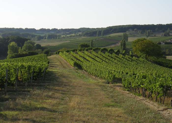image de Château Bois Clair - Frédéric SERNAGLIA