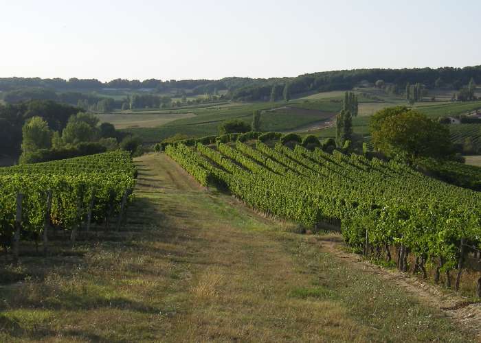 image de Château Bois Clair - Frédéric SERNAGLIA