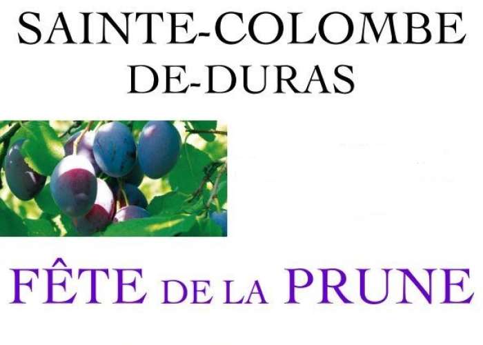 image de Fête de la Prune