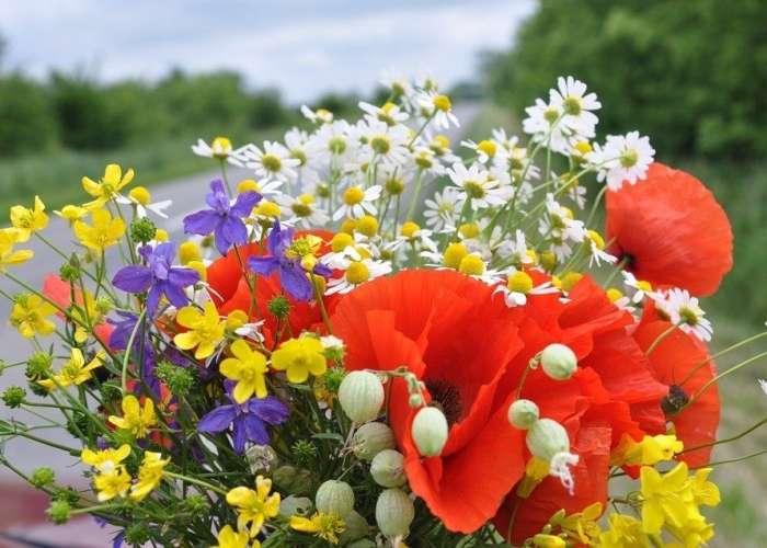 image de Journée printanière et vide-greniers