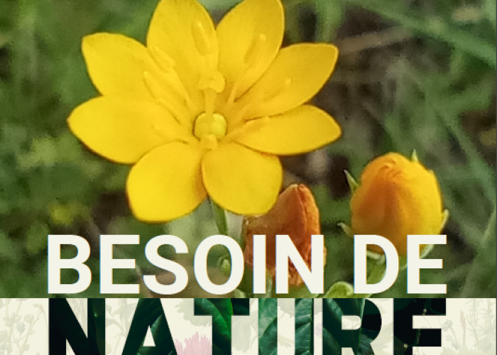 image de La cuisine des herbes sauvages en 3 temps