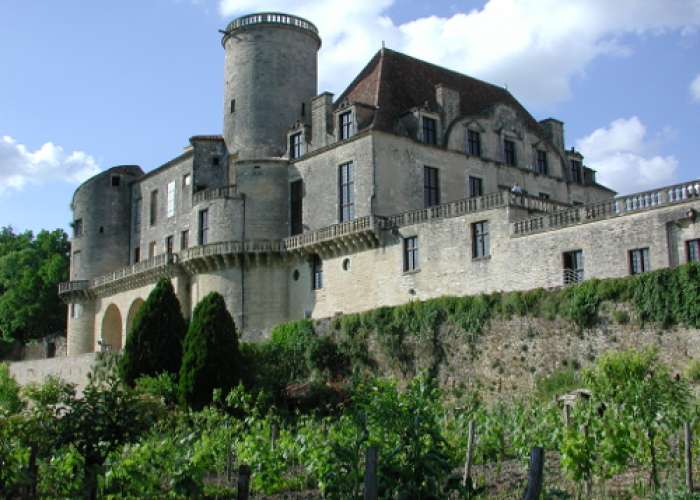 image de Duras, un château, un vignoble