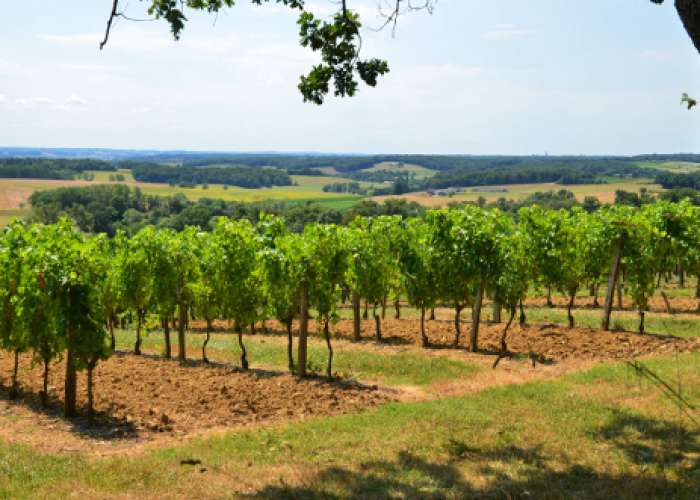 image de Saint-Jean-de-Duras, balade au coeur des vignobles de Duras