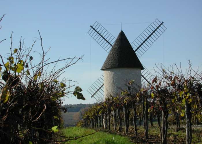 image de Villeneuve-de-Duras, à l'orée de la Gironde