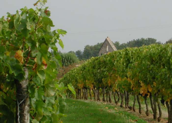 image de Loubès-Bernac, aux confins de la Gironde et de la Dordogne