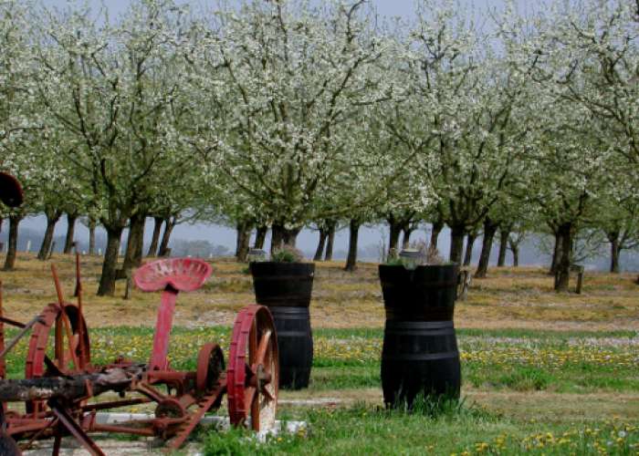 image de Saint-Astier-de-Duras, à travers vignobles et vergers de Duras