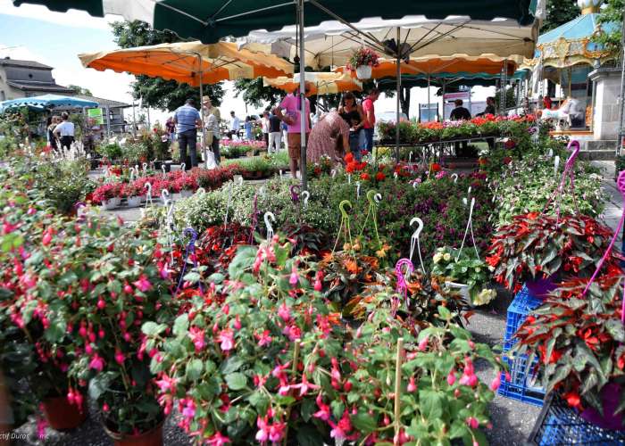 image de Marché aux fleurs, vide-greniers et artisanat