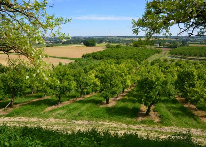 image de Monteton, sur les berges du Dropt