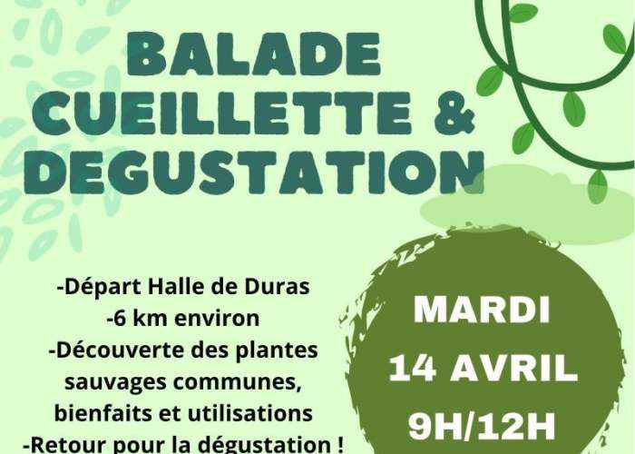 image de Balade, cueillette et dégustation avec Agnès de Naturopathie per tutti