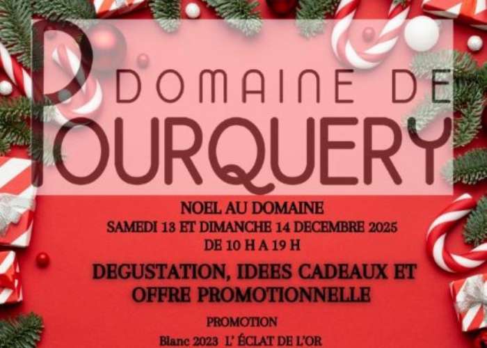 image de Noël au Domaine de Pourquery