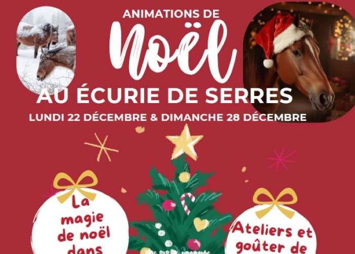 image de Animations de Noël au écurie de Serres
