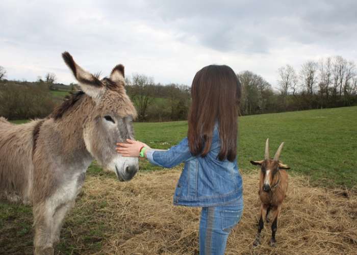 image de Parc du Griffon