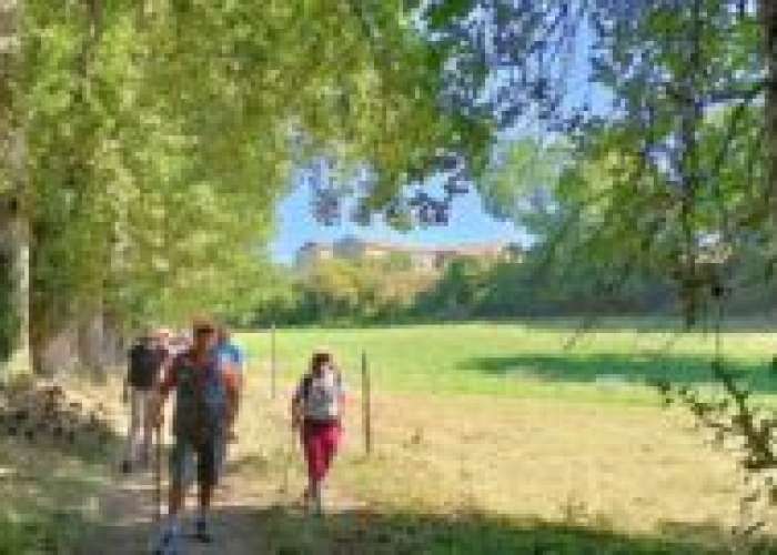 image de Randonnée pédestre du Printemps