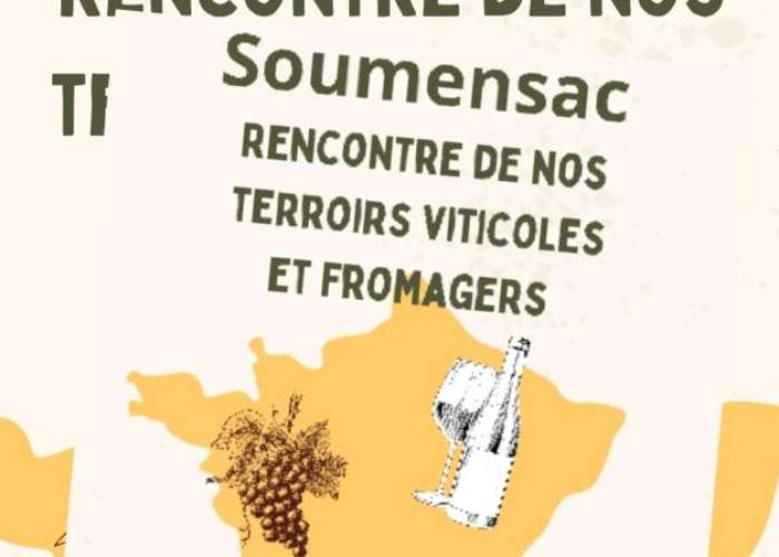 image de Rencontre de nos terroirs viticoles et fromagers