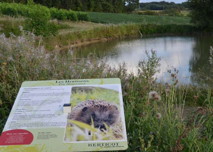 image de Bienvenue dans le vignoble de Berticot - Circuit libre