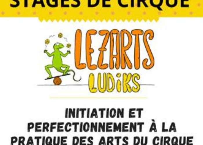 image de Atelier de cirque avec Lezarts Ludiks