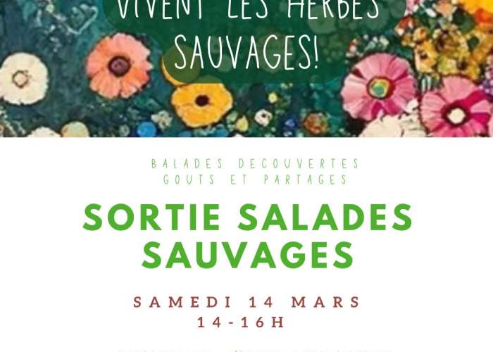 image de Sortie salades sauvages au Domaine les Hauts de Riquets